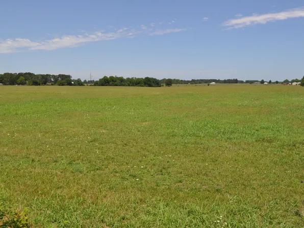 Tract B Delzell Woods Road, Rogersville, MO 65742