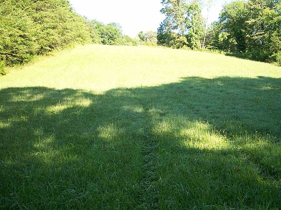 4th image of 0 Rose Robinson Ln