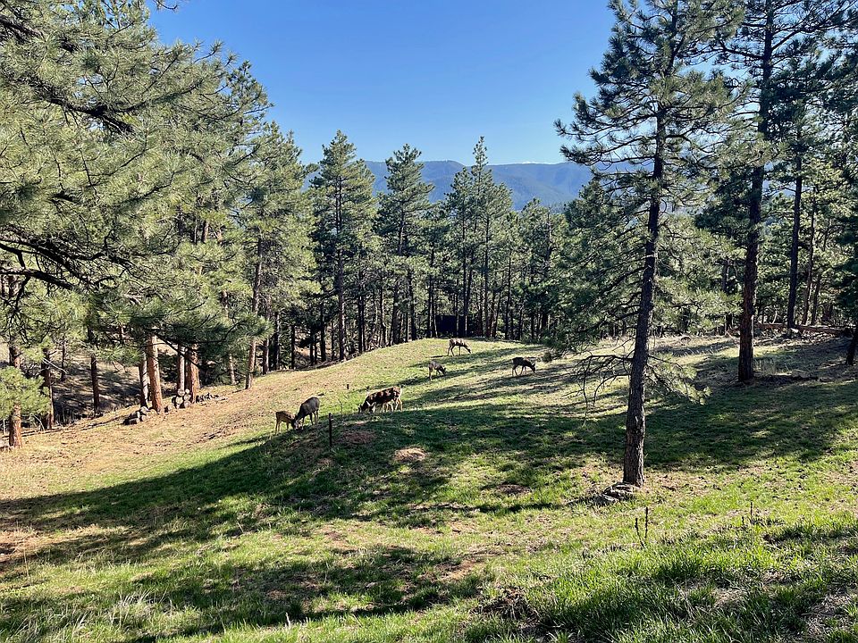 South Side Meadow