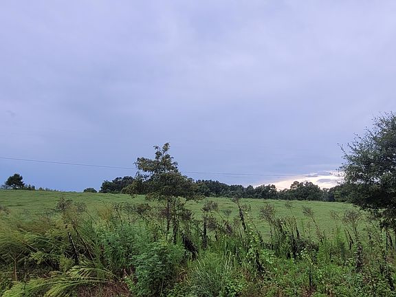 4th image of 260 County Road 1680