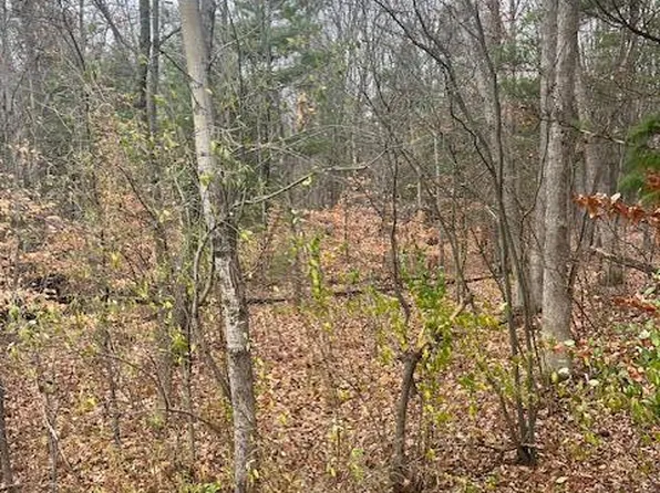 15101 Larsen Ave NE, Gowen, MI 49326