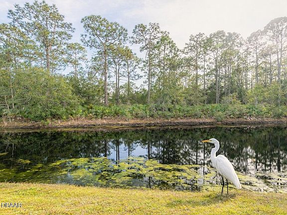 2nd image of 251 Orange Grove Dr Unit 8