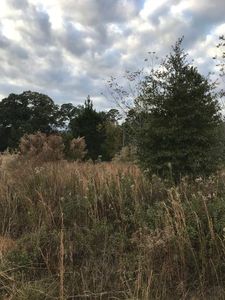 0 Shiloh Rd, Ray City, GA, 31645