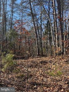 Kennedy St, Woodford, VA, 22580