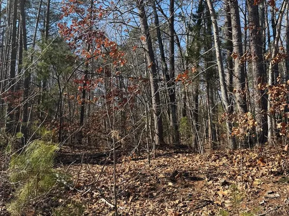 Kennedy St, Woodford, VA 22580