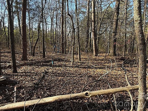 2nd image of 1361 Zeb Haynes Rd #1