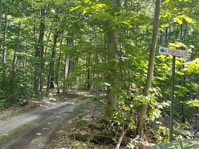 N Thompson Lake Rd, Pointe Aux Pins, MI, 49775