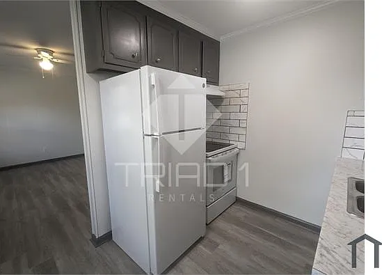 1 bed, 550 sqft, $750 — Photo 4