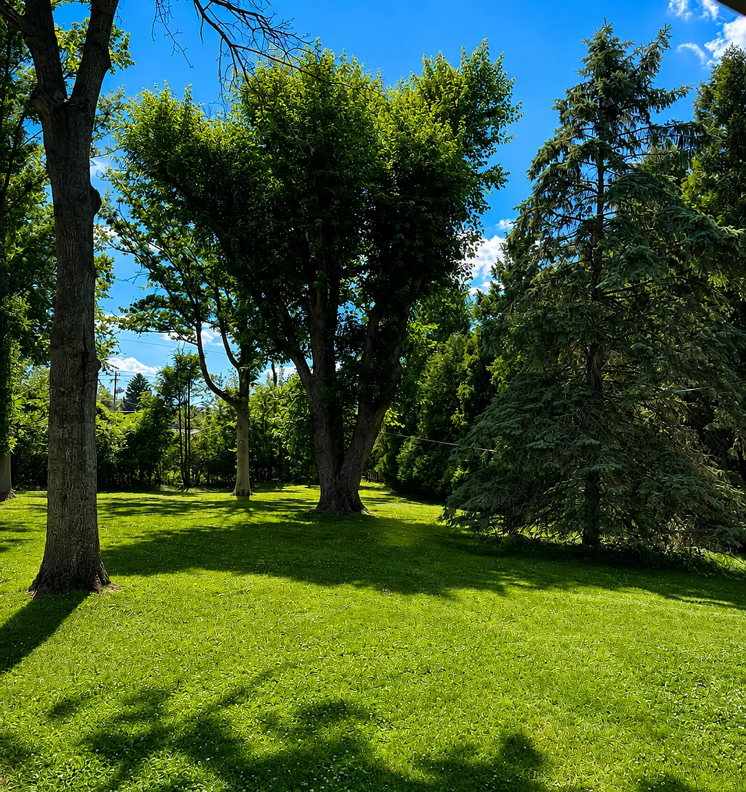 3 bed, 1500 sqft, $3,499 — Photo 4