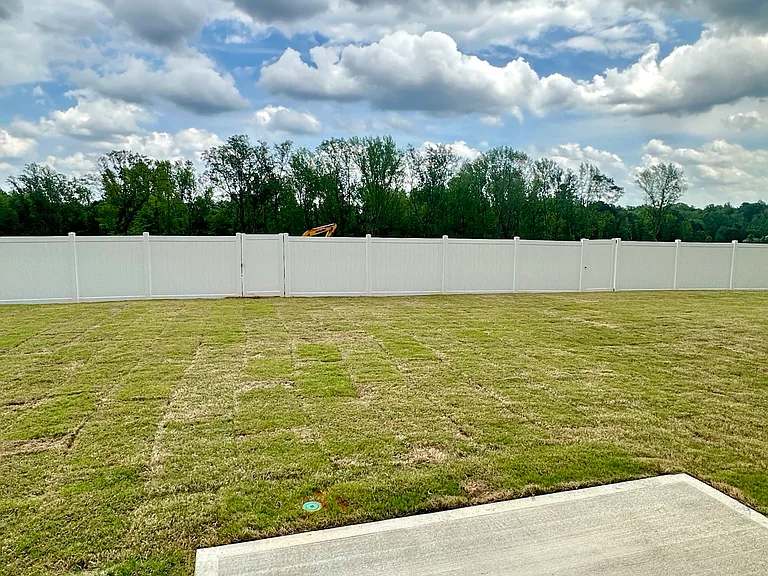 Level backyard