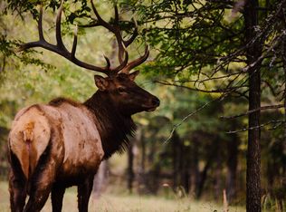 2502 N 386th Rd, Wetumka, OK 74883