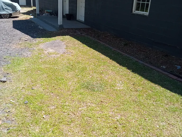 1332 Saint Ann St #A — Photo 3