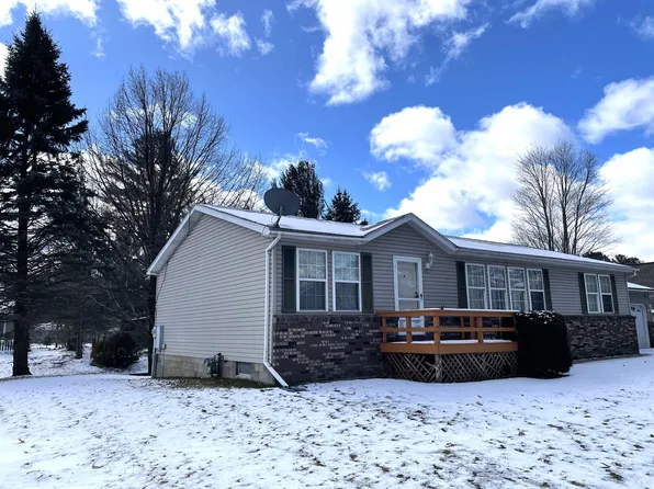 6627 Holden Ave, Indian River, MI 49749