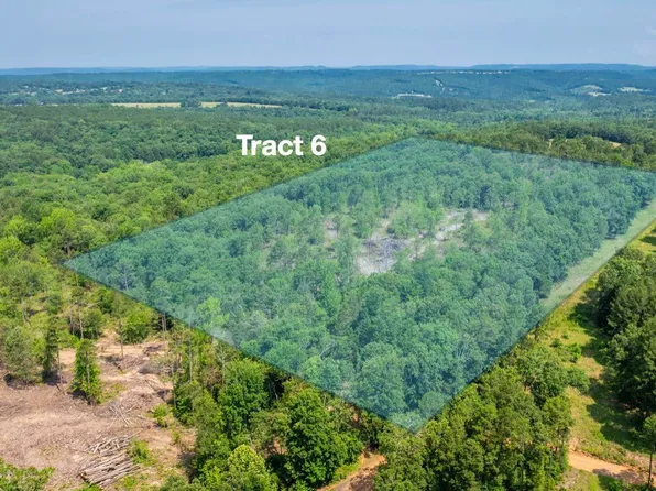 6 Harmony Mountain Rd, Clinton, AR 72031