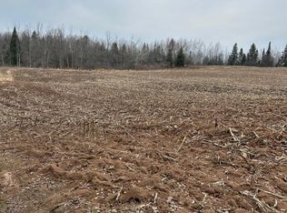 0 Beach Rd, Prescott, MI 48756