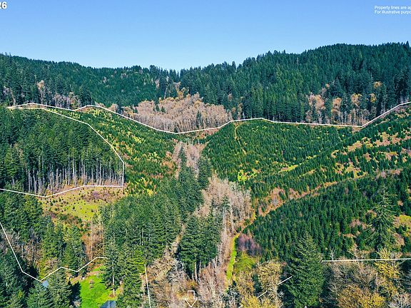 3rd image of Marys Peak Rd #Tl501