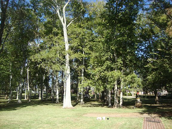 view from front door