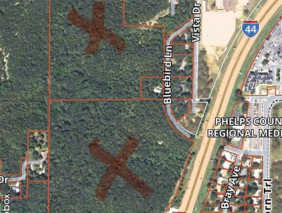 5th image of Bluebird Ln