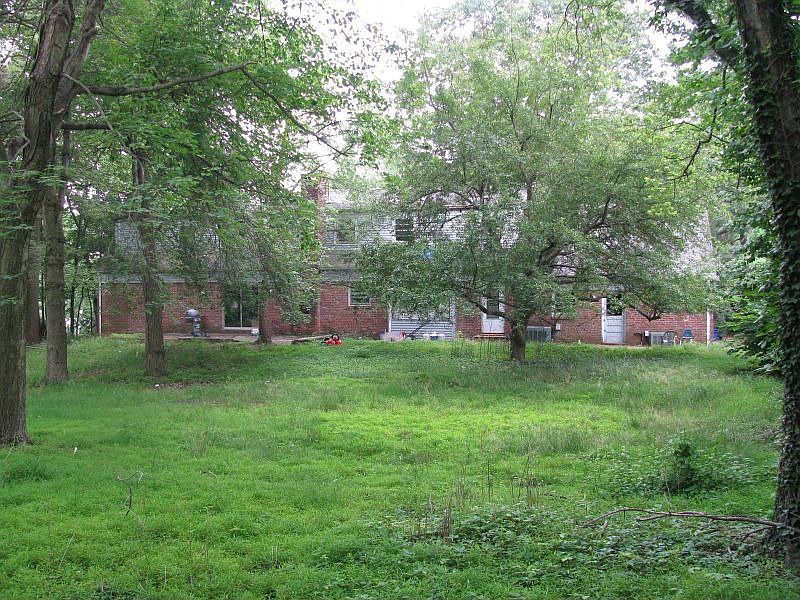 Rear View