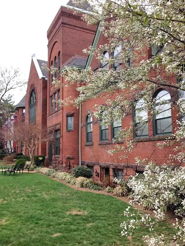 2 bed, $3,100 — Photo 1
