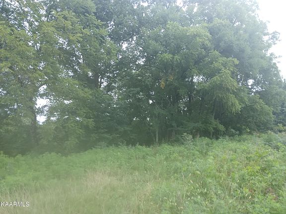 4th image of 13671395 Mount Carmel Rd