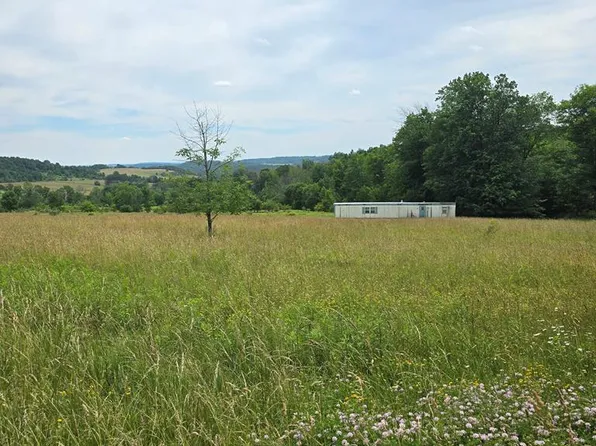 2022 Harkenrider Rd, Troupsburg, NY 14885