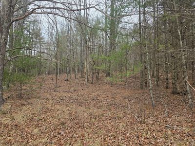 Tbd Taylors Chapel Rd, Fries, VA, 24330