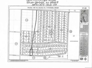 3630 E Antelope St, Silver Springs, NV