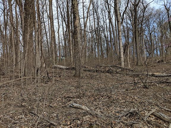 5th image of Shenandoah Farms #410-411