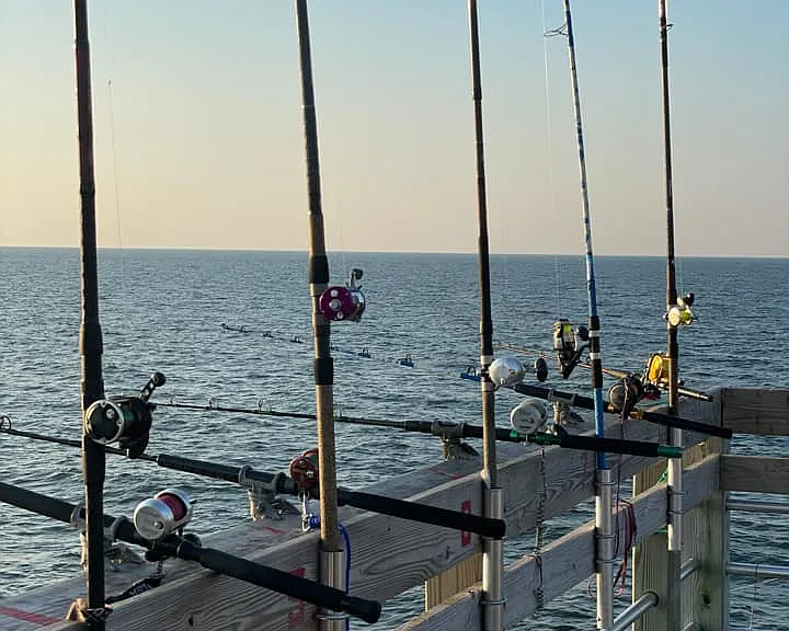Ocean side pier fishing catches include King Mackerel, Trout, Flounder, Bluefish, Spanish Mackerel, Cobia, Whiting, Pompano, Spots, Tarpon, Amberjack, Sheepshead, Black Drum, Red Drum, and Croaker