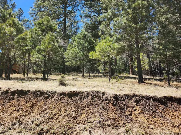 17-17 Billie Jean Way, Cloudcroft, NM 88317