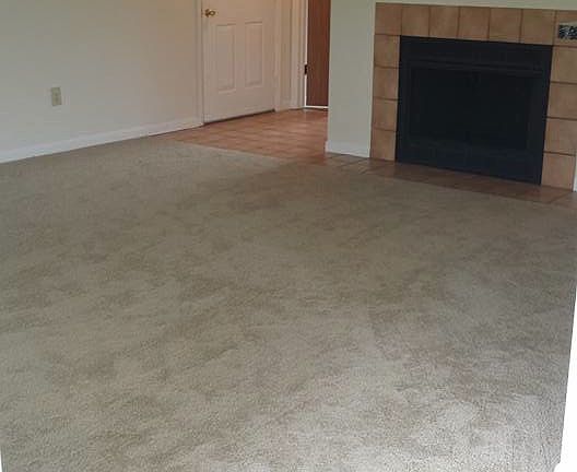 Living room, Wood Burning Fireplace