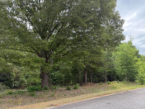 2nd image of 0 Sylvan Grove Road
