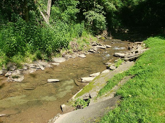 5th image of 3645 Forbes Trail Dr