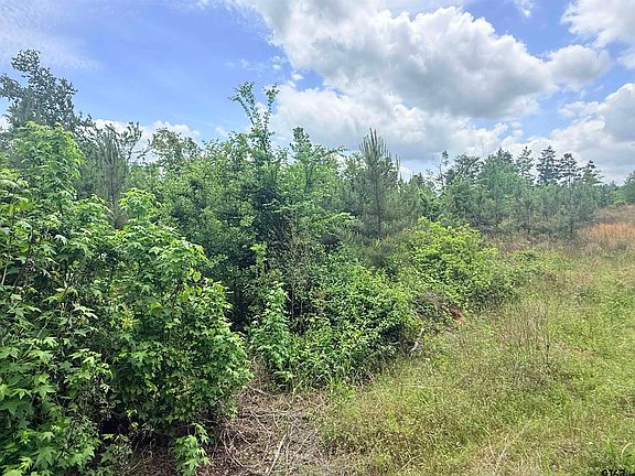4th image of 10417 County Road 415 W