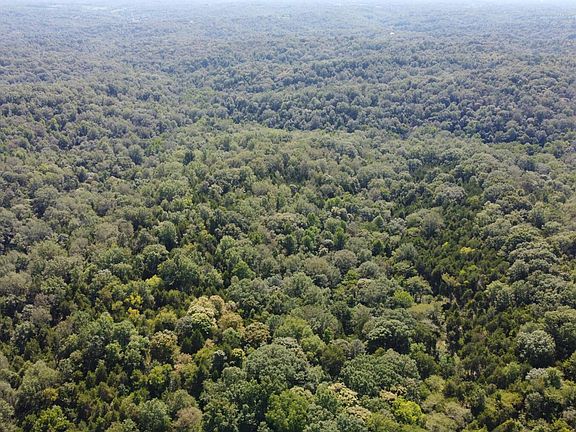 2nd image of 91 Flag Fork Rd