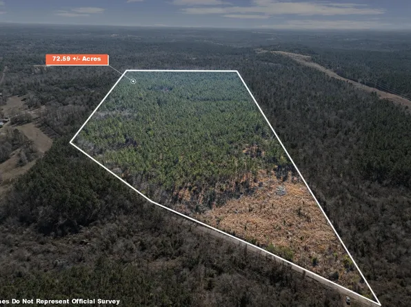 Nasturtium Rd, Ore City, TX 75683