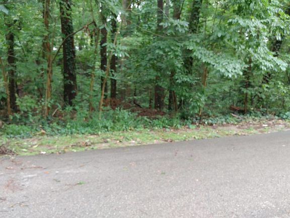 3rd image of 320 Horseshoe Ct