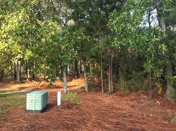 4 Lost Dog Ct, Elgin, SC 29045