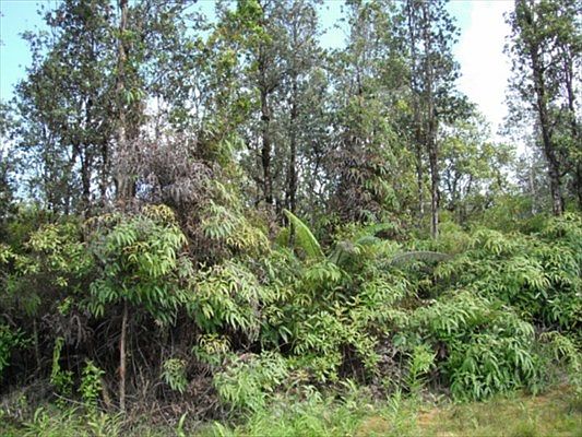 3rd image of Kahukai St Lot 8