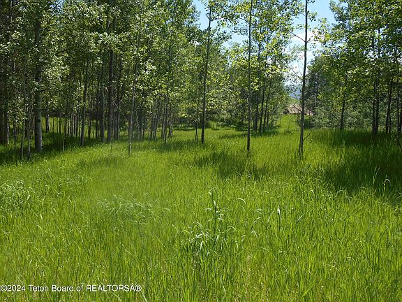 2nd image of 139 Cottonwood Ln