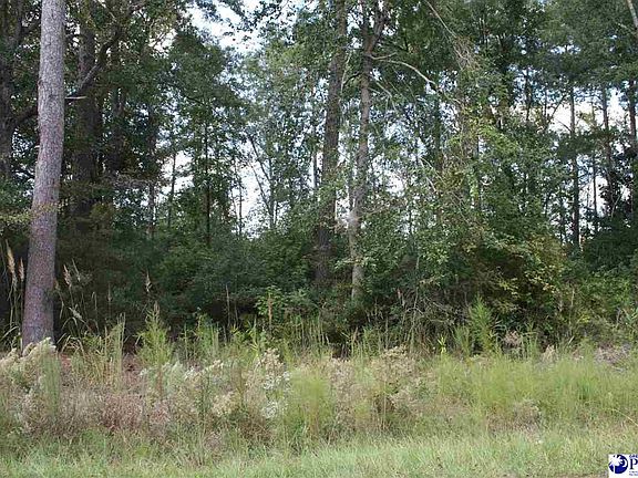 2nd image of 243 Byrnes Cir
