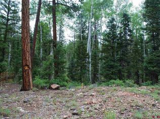 166 Ponderosa Way, Durango, CO 81301