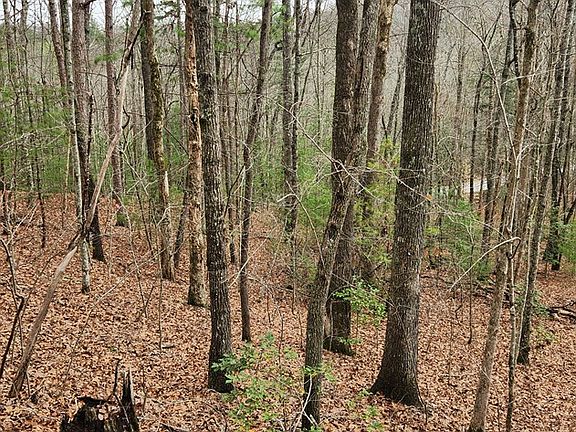 4th image of 13 Mangums Trl