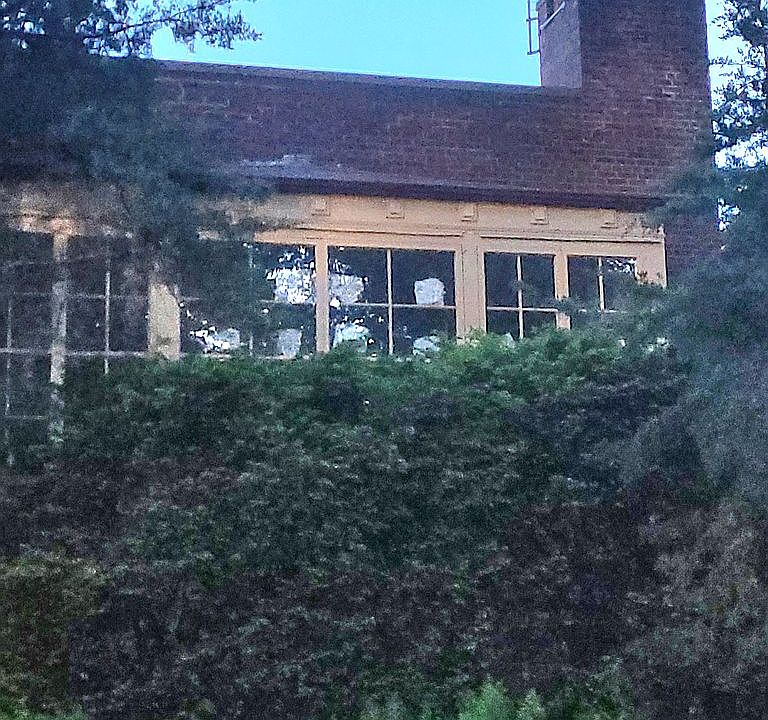2nd image of 934 Forest Ave