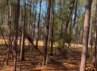 450 River Bluff Trl, Saint Stephen, SC 29479