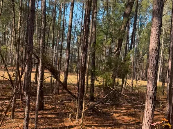 450 River Bluff Trl, Saint Stephen, SC 29479