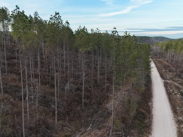 4 County Road 175, Piedmont, AL 36272