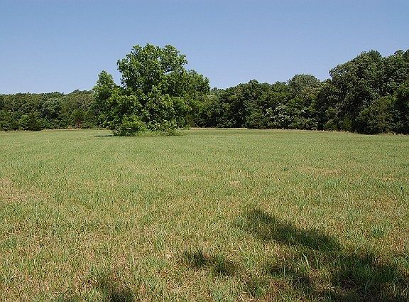 Great Fishing and Hunting