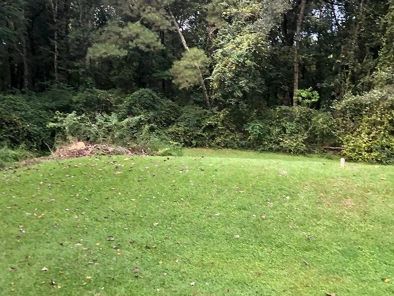 41 Honeysuckle Way — Photo 3